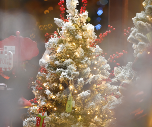 Δέντρα Χριστουγεννιάτικα