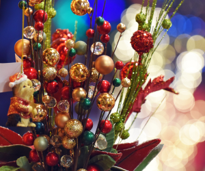 Λουλούδια Χριστουγεννιάτικα