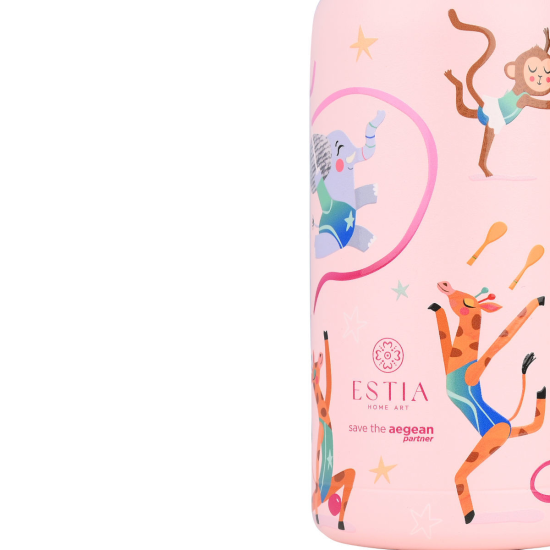 ΘΕΡΜΟΣ ΠΑΙΔΙΚΟ WONDER BOTTLE SAVE THE AEGEAN 500ml WILD STUNTS