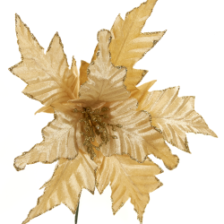 ΛΟΥΛΟΥΔΙ ΑΛΕΞΑΝΔΡΙΝΟ ΧΡΥΣΟ ΠΙΚ