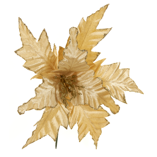 ΛΟΥΛΟΥΔΙ ΑΛΕΞΑΝΔΡΙΝΟ ΧΡΥΣΟ ΠΙΚ