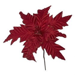 ΛΟΥΛΟΥΔΙ ΑΛΕΞΑΝΔΡΙΝΟ KOKKINO ΠΙΚ