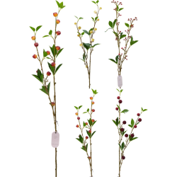 Κλαδί με Καρπούς 15x88cm 4Σχδ