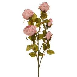 ΚΛ ΑΝΟΙΧΤΟ ΡΟΖ ΚΛΑΔΙ ΤΡΙΑΝΤΑΦΥΛΛΟ 70ΕΚ Χ5.