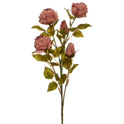 ΚΛ ΣΑΠΙΟ ΜΗΛΟ ΚΛΑΔΙ ΤΡΙΑΝΤΑΦΥΛΛΟ 70ΕΚ Χ5