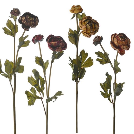 ΚΛ ΚΛΑΔΙ ΝΕΡΑΓΚΟΥΛΑ ΜΕ  Χ2 63ΕΚ 4 ΧΡΩΜΑΤΑ