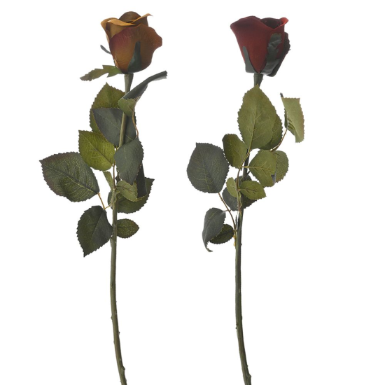 ΚΛ ΚΛΑΔΙ ΤΡΙΑΝΤΑΦΥΛΛΟ ΜΠΑΚΑΡΑΣ 71ΕΚ ΣΕ 2 ΧΡΩΜΑΤΑ