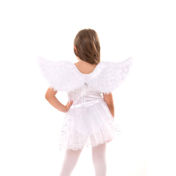 Αξεσουάρ Φτερά Αγγέλου 65Χ25εκ