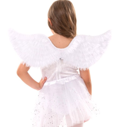 Αξεσουάρ Φτερά Αγγέλου 65Χ25εκ