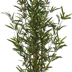 ΓΛΑΣΤΡΑ ΜΕ ΛΟΥΛΟΥΔΙ ΒΑΜΒΟΟ 90cm