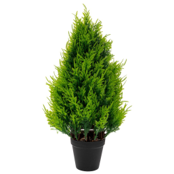 ΔΕ ΓΛΑΣΤΡΑ ΜΕ ΔΕΝΔΡΟ 25Χ48ΕΚ ΣΕ ΜΑΥΡΟ ΓΛΑΣΤΡΑΚΙ ΠΛΑΣΤΙΚΟ