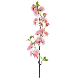 ΚΛ ΡΟΖ ΡΟΔΑΚΙΝΙΑ ΚΛΑΔΙ 100ΕΚ ΜΕ UV ΠΡΟΣΤΑΣΙΑ