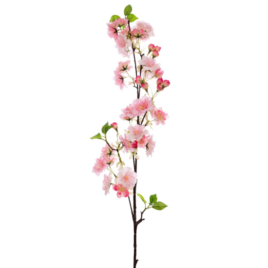 ΚΛ ΡΟΖ ΡΟΔΑΚΙΝΙΑ ΚΛΑΔΙ 100ΕΚ ΜΕ UV ΠΡΟΣΤΑΣΙΑ