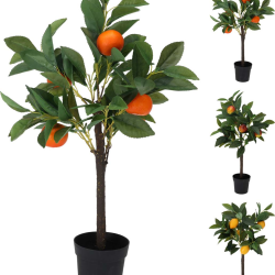 ΓΛΑΣΤΡΑΚΙ ΜΕ ΦΥΤΟ 30x60cm 3Σχδ