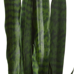 ΤΕΧΝΗΤΟ ΦΥΤΟ ΣΕ ΓΛΑΣΤΡΑ 92cm