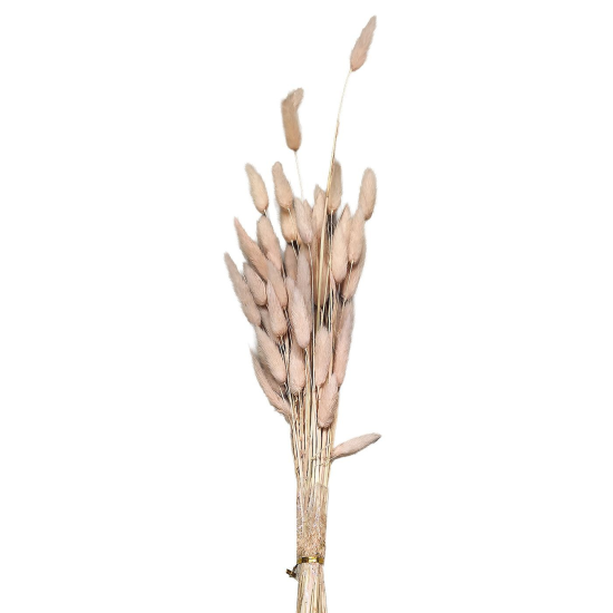Μπουκέτο Αποξηραμένα Bunny Tails 25 Κλαδιά ροζ 60cm