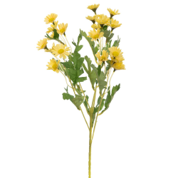 ΚΛ ΚΛΑΔΙ ΜΑΡΓΑΡΙΤΕΣ ΚΙΤΡΙΝΕΣ 55ΕΚ Χ5