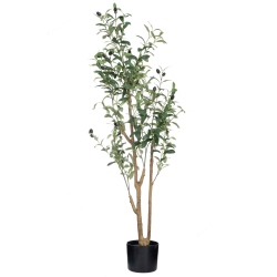 ΔΕ ΔΕΝΤΡΟ ΕΛΙΑΣ ΣΕ ΠΛΑΣΤΙΚΟ ΚΑΣΠΩ 124ΕΚ ΔΙΑ15Χ13ΕΚ