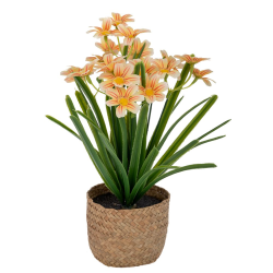 ΔΕ ΛΕΥΚΕΣ ΜΑΡΓΑΡΙΤΕΣ 31ΕΚ ΣΕ SEAGRASS ΚΑΣΠΩ Φ9Χ11ΕΚ