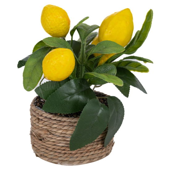 ΔΕ ΓΛΑΣΤΡΑΚΙ ΜΕ  ΛΕΜΟΝΙΑ 16ΕΚ