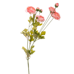 ΚΛ ΚΛΑΔΙ ΝΕΡΑΓΚΟΥΛΑ ΡΟΖ 88ΕΚ Χ5