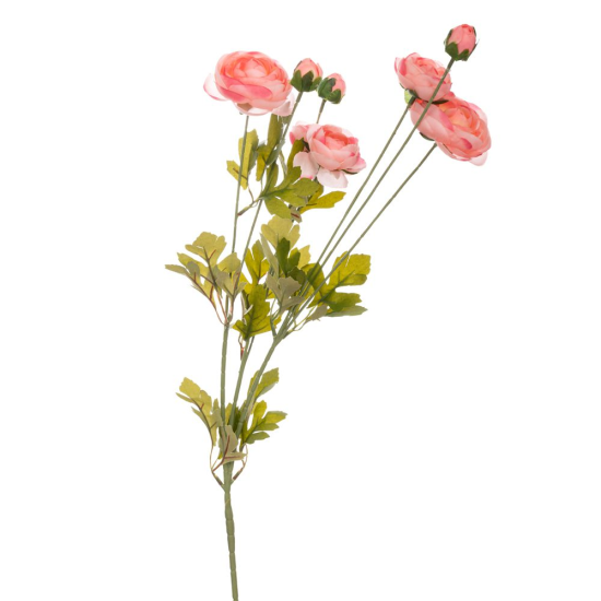 ΚΛ ΚΛΑΔΙ ΝΕΡΑΓΚΟΥΛΑ ΡΟΖ 88ΕΚ Χ5