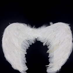 ΑΠΟΚΡΙΑΤΙΚΑ ΠΟΥΠΟΥΛΕΝΙΑ ΦΤΕΡΑ ΑΓΓΕΛΟΥ 45x33εκ