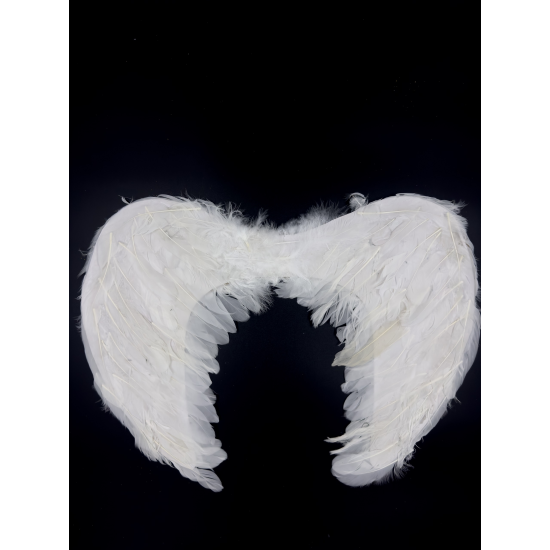 ΑΠΟΚΡΙΑΤΙΚΑ ΠΟΥΠΟΥΛΕΝΙΑ ΦΤΕΡΑ ΑΓΓΕΛΟΥ 45x33εκ