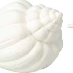 JΚ Home Decor - Διακοσμητικό Κοχύλι Πορσελάνη Σε 2 Σχ. 12Χ10Χ7,5CM