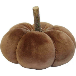 ΚΟΛΟΚΥΘΑ ΒΕΛΟΥΔΙΝΗ  ΣΟΚΟΛΑΤΙ ΙΡΙΖΕ PUMPKIN