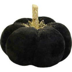 Κολοκυθα βελούδινη  μαύρο χρυσό κοτσάνι PUMPKIN