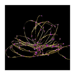 ΧΡ 100 MICROLED ΧΡΥΣΟ/ΡΟΖ 8ΠΡΟΓΡΑΜ 5 ΜΕΤΡΑ ΕΣΩΤ & ΕΞΩΤ ΧΩΡΟΥ
