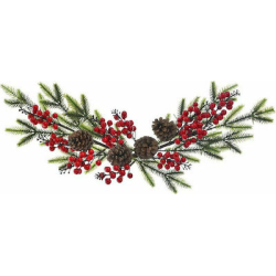 ΧΡ ΚΛΑΔΑ ΑΨΙΔΑ 65ΕΚ ΜΕ BERRIES ΚΑΙ ΚΛΑΔΙΑ ΕΛΑΤΟΥ