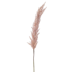 ΚΛ ΑΣΠΡΟ ΡΟΖ ΚΛΑΔΙ PAMPASS 98EK.