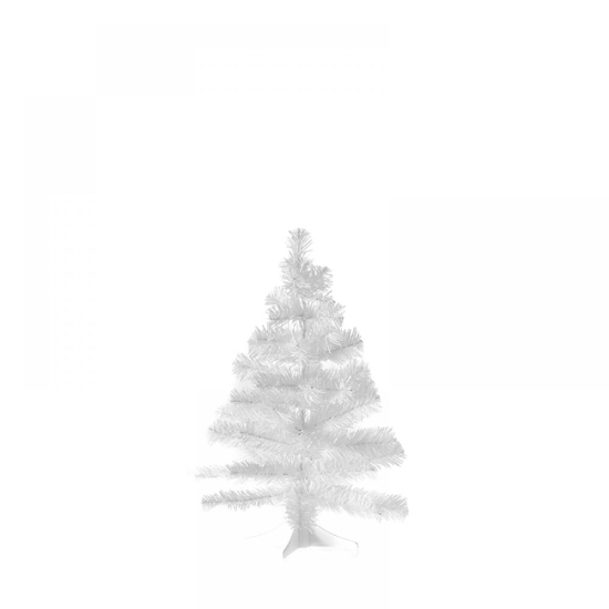 XP ΔΕΝΤΡΑΚΙ 45CM ΛΕΥΚΟ SUPER COLORADO