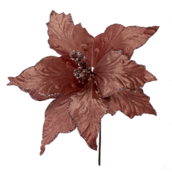 ΛΟΥΛΟΥΔΙ ΑΛΕΞΑΝΔΡΙΝΟ ΣΩΜΟΝ ΠΙΚ