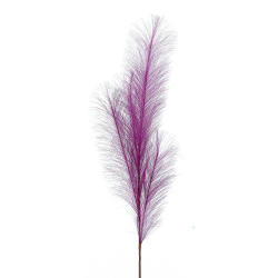 ΛΟΥΛΟΥΔΙ 80cm Purple pampas branch