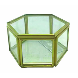 Κουτί Terrarium Χρυσό 8x4cm