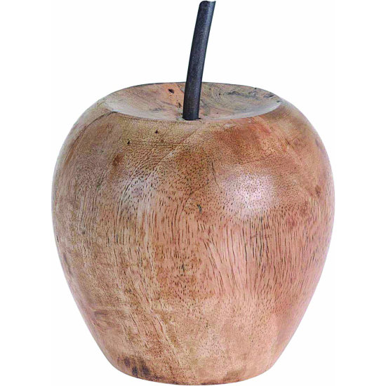 ΦΡΟΥΤΟ ΑΠΟ ΜΑΝGΟ 12Χ22cm