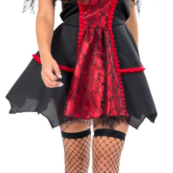 Στολή Ενηλίκων ΒΡΥΚΟΛΑΚΑΣ..