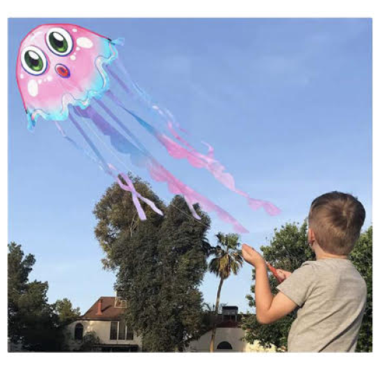 ΑΕΤΟΣ 240084 ΜΕΔΟΥΣΑ 107Χ70ΕΚ.