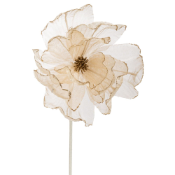 ΧΡ ΣΑΜΠΑΝΙ ΟΡΓΑΝΖΑ ΜΑΝΩΛΙΑ ΚΛΑΔΙ 60ΕΚ