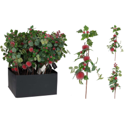 ΚΛΑΔΙ ΜΕ ΜΗΛΑ/ΡΟΔΙΑ & ΕΥΚΑΛΥΠΤΟ 50cm 2Σχδ